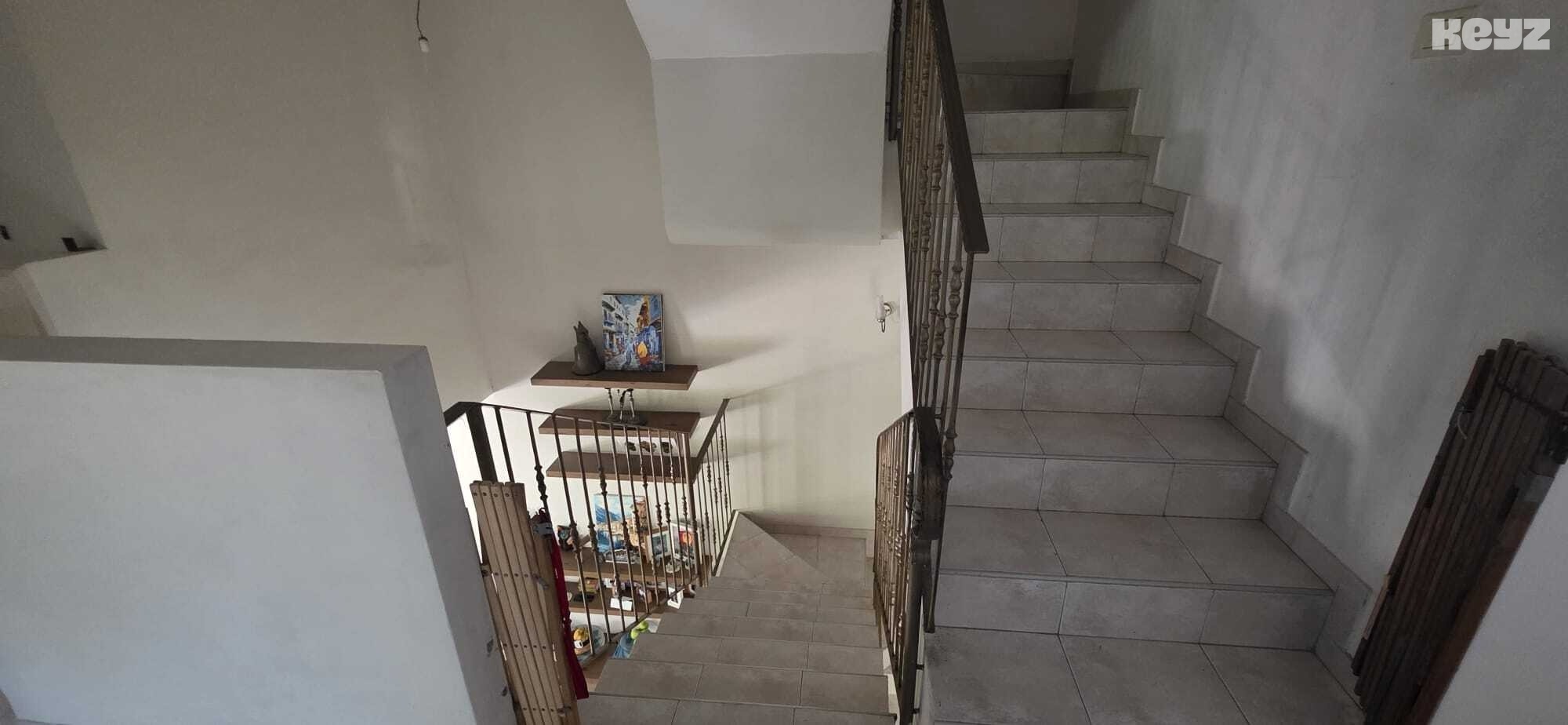 vehicle-8