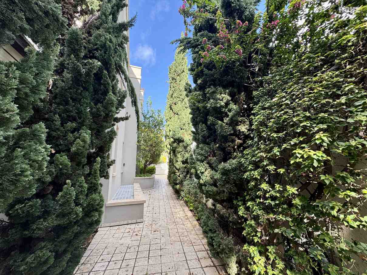 vehicle-13