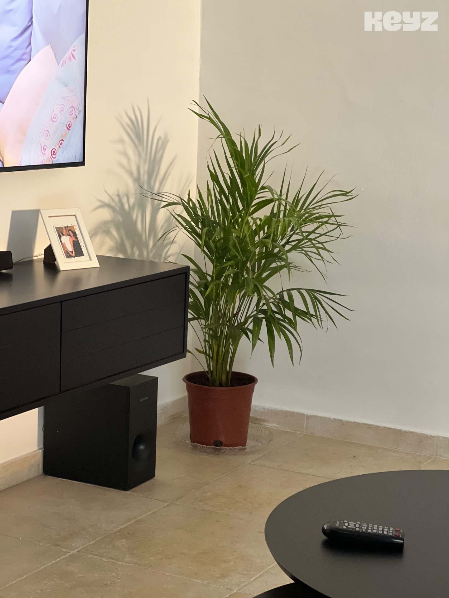 vehicle-5