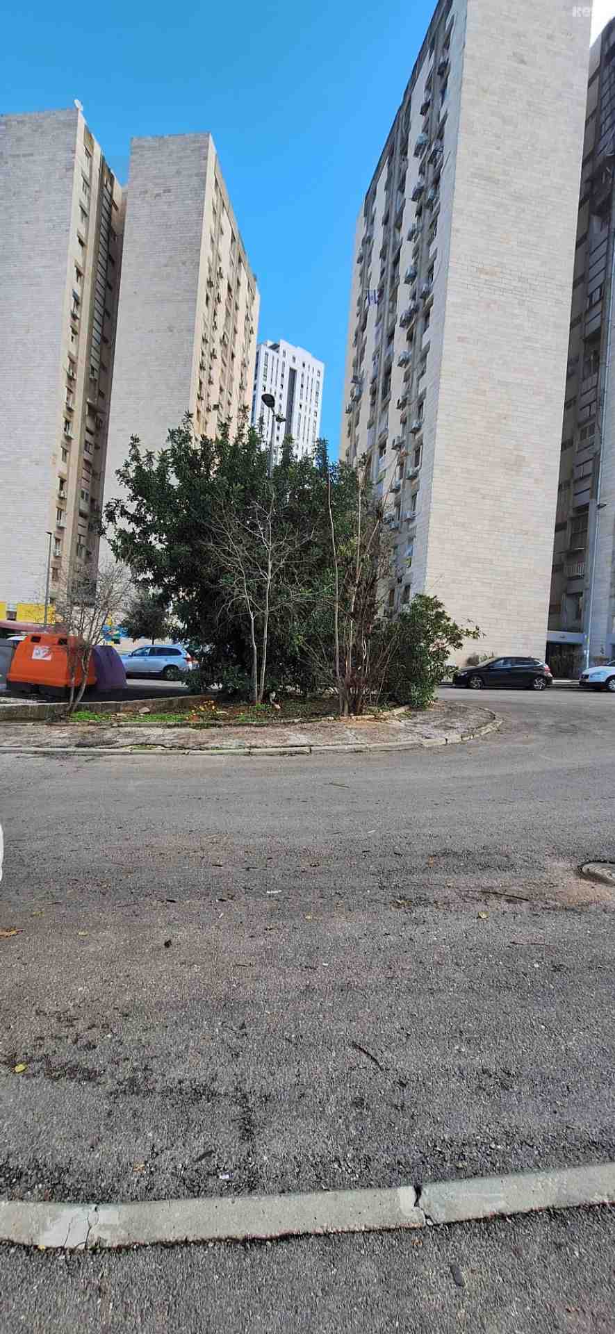 vehicle-3
